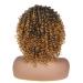 Porsmeer Ombre Blonde Curly Afro Wig - 14 Kinky Curly Bob for Women - Natural Art Hair with Ponytail - Volume for Black Women - Buy Online on GoSupps.com