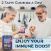 JB Wellness Co 8 in 1 Immune Defense Booster Supplement Gummies with Astragalus Root Vitamin C and Zinc Vitamin D3 Elderberry and Quercetin (2 Pack) - Buy Online on GoSupps.com