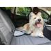Durable Dog Seat Belt Car Safety Harness with Anti Shock Bungee and Isofix/Latch - Heavy Duty & Adjustable Travel Accessory - Buy Online on GoSupps.com