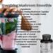 I AMZ Nature 10:1 Mushroom Complex Capsules - Energy Immunity & Focus Booster - Premium Herbal Supplement for International Shipping - Buy Online on GoSupps.com