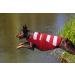 Cit toile Dog Life Jacket - Adjustable Sports Swim Vest for Small to Large Dogs | High Buoyancy & Safety - Buy Online on GoSupps.com