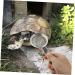 BESPORTBLE 4 Pcs Reptile Sand Shovel Filtering Sand Shovel Sand Filtering Mesh Reptichip Silver Barbed Wire 20X7X3CMx2pcs Silverx2pcs - Buy Online on GoSupps.com