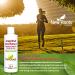 New Roots Herbal - GSE Grapefruit Seed Extract - 250ml - Grapefruit Concentrate Liquid Vitamin C Bioflavonoids - Grapefruit Essential - Grapefruit Extract - High Concentrate Extract - Support Immune 250 ml (Pack of 1) - Buy Online on GoSupps.com