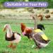 Vehipa 3 Pcs Reflective Chicken Vest Set - Adjustable Harness for Poultry - Feather Protection for Hen, Geese, Duck - Buy Online on GoSupps.com