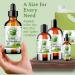 Shop Bella Terra Green Coffee Bean Oil - 1 Gallon for Hair & Skin | Antioxidant-Rich Fast-Absorbing & Non-Greasy - Buy Online on GoSupps.com