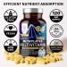 Number One Nutrition Methylated Multivitamin for Women & Men, Natural Daily Multivitamins with Folate, Vitamin B12, Vitamin B2 and B6, Non-GMO, Gluten-Free, 120 Caps - Buy Online on GoSupps.com