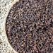 Organic Whole Cloves (250g/8.8 oz) - 100% Natural Vegan Spice - Pack of 1 - Buy Online on GoSupps.com