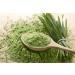 Spintz Organic Barley Grass & Turmeric Powder - 100% Natural Vegan Dietary Supplement - Plastic-Free Packaging (250g) - Premium Health Boost - Buy Online on GoSupps.com