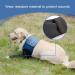 COOUTO Dog Recovery Suit - Abrasion-Resistant Waterproof Washable Sleeve for Pets | Prevent Wounds & Keep Dogs Dry (Size L) - Buy Online on GoSupps.com