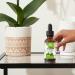 Relaxcation Tamanu Oil | Cold Pressed Natural Oil for Skin Hair & Nails | Unrefined Botanical | Vegan Hexane Free Amber Glass Dropper (4 oz) 4 Fl Oz (Pack of 1) - Buy Online on GoSupps.com