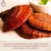 Plum Dragon Ling Zhi | Reishi Mushroom - 1lb - Buy Online on GoSupps.com