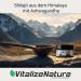 Vitalazenature Shilajit 30g - Original Himalayan Shilajit Resin + Ashwagandha - Natural Ayurvedic Herbal Supplement for Daily Wellness - Buy Online on GoSupps.com