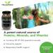 Supreme Fresh Sea Moss Gel 175ml | Wildcrafted from Irish Waters | 100% Natural | 92 Essential Micronutrients | Immune Support - Buy Online on GoSupps.com