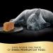 Sheba Perfect Portions Patأ© Wet Cat Food - 24 Twin-Packs for Easy Feeding - Buy Online on GoSupps.com