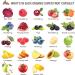 Terra Kai Organics Organic Super Fruits and Veggies Supplement | Reds and Greens Superfood Capsules | 23 Fruits & 16 Vegetables | Non GMO, Gluten/Gelatin/Soy Free, Vegan (180 Count) - Buy Online on GoSupps.com