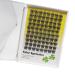 Vayator D Curl 0.07mm False Eyelashes | Reusable Individual Extensions | Wide Stem Fluffy Clusters | Natural Soft & Dramatic Look (16mm) - Buy Online on GoSupps.com