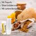 Apinatur Lip Balm with Propolis 4.8g - Natural Moisturizing & Healing for Lips | Buy Internationally - Buy Online on GoSupps.com