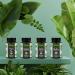 Mary Thistle Complex - 80% Silymarin Capsules with Dandelion & Artichokes | High Dose Vegan Supplement with Zinc Selenium & Vitamin E - 120 Lab-Tested Capsules - Buy Online on GoSupps.com