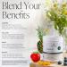 Arbonne BeWell Superfood Greens Powder - Health Supplement Powder Made from a Variety of Fruits and Vegetables Organic Green Juice Supplement 7.8 oz - Buy Online on GoSupps.com