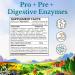 Vitalitown Probiotics 120 Billion CFUs - 36 Strains & Digestive Enzymes - 30 Veg Caps - Buy Online on GoSupps.com