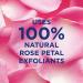 St. Ives Gentle Smoothing Scrub - Rose Water & Aloe Vera 6 oz | Exfoliate & Hydrate - Buy Online on GoSupps.com