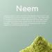 Biiome Premium Neem Leaves Powder - 100% Pure & Organic for Skin, Hair & Immunity | Detox & Dandruff Control - Buy Online on GoSupps.com