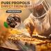 Pure propolis powder (100g) 100% natural. You receive a flat disc (the compact powder being a resin). Propolis not heated directly from the beekeeper. Natural defenses. - Propol-mel - Buy Online on GoSupps.com