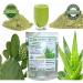 Organic Aloe Vera & Nopal Cactus Powder 1/2 Lb for Digestive Health | 100% Vegan & Pure | ALKAVITA Green - Buy Online on GoSupps.com