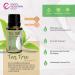 Rocky Mountain Oils Tea Tree Essential Oil - Aromatherapy Topical Nail Face Hair & Skin Care - 15ml | Shop Internationally - Buy Online on GoSupps.com