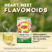 Lipton Orange Passionfruit Jasmine Green Tea Bags - 6 Boxes (20 Tea Bags Each) to Support Heart Health - Buy Online on GoSupps.com