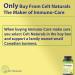 Celt Immunocare 60 v-caps - Plant Sterols Ultra Strength - 7 Key Immunity Enhancing Ingredients - Potent Seasonal Allergy Blend - Cholesterol Modulator - Buy Online on GoSupps.com