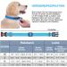 Haapaw Blue Reflective Dog Collar - Padded Neoprene Breathable Nylon for Small Medium & Large Dogs (1 Pack) - Buy Online on GoSupps.com