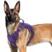 Rabbitgoo dog harness Large dogs anti -train crockery dog adjustable with handles widened robust and wear -resistant tactical dog harness with metal buckles for hiking (XL purple) XL (1 Pack) purple