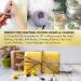 Buy Sun Essential Oils 4oz - Premium Rosewood Essential Oil - Natural Aromatherapy | Fast International Shipping - Buy Online on GoSupps.com