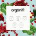 Organifi Daily Greens - Everyday Nutrition and Support - Greens Powder for Energy, Digestion, and Immunity, 30 Servings - Buy Online on GoSupps.com