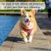 Buy Longhao Waterproof Dog Flea Collar (2 PCs) - Adjustable Tick Protection for Dogs & Cats Fits All Sizes - Shop Now! - Buy Online on GoSupps.com