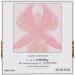 Sisley L'Orchidee Rose Highlighter Blush with White Lily 0.52oz - Women's Blush - Buy Online on GoSupps.com