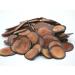 GinsengStoreAndMore Deer Antler Slices | Sika Deer Antler Velvet for Energy & Health | Lu Rong | Buy Online Internationally - Buy Online on GoSupps.com
