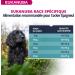 Eukanuba Dog Dry Food Cocker Spaniel Chicken 7.5kg - Buy Online on GoSupps.com