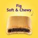 Newtons Soft & Fruit Chewy Fig Cookies 10 Oz - Delicious and Healthy Snack - Buy Online on GoSupps.com