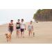 RC Pet Products Zephyr Cooling Bandana - Medium Toucan Dog Cooling Collar - Buy Online on GoSupps.com