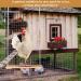 Adjustable Chicken Swing Toy for Coop with Roost - Large Ladder Bar Accessories | Includes Ropes & Metal Hook | 15.5in x 2.75in - Buy Online on GoSupps.com