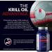 100% Pure Antarctic Krill Oil 1000mg Softgels | 60-Day Supply | Organic Omega 3 EPA/DHA | Sustainable & Traceable | Supports Heart, Liver, Brain, Eye & Joint Health - Buy Online on GoSupps.com