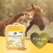 Martenbrown Rice Kim Oil 10L for Horses Dogs & Donkeys | Dietary Supplement for Dry & Canned Food | BARF Oil in Practical Canister - Buy Online on GoSupps.com