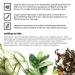 Basd Natural Body Wash Invigorating Mint - Organic, Vegan, Hypoallergenic - 8oz Tube - Buy Online on GoSupps.com