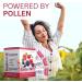 Youngevity Projoba Pollen Burst Plus Berry - Buy 30 Packets for Boosted Energy & Immunity | International Shipping Available - Buy Online on GoSupps.com