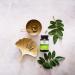 Organic India Moringa Capsules - Vegan Superfood, USDA Organic, Nutrient Dense, 90 Capsules - Buy Online on GoSupps.com