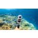 Buy Insta360 X3 Invisible Dive Case - Best Waterproof Accessory for Underwater Adventures | International Shipping Available - Buy Online on GoSupps.com