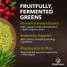 PlantFusion Fruitful Super Greens Powder - Organic Fermented Juice Blend with Probiotics Prebiotic Fiber & Digestive Enzymes Non-GMO Vegan Gluten-Free - 30 Servings - Buy Online on GoSupps.com