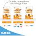 IAMS Dry Cat Food with Fish - Nutritional Formula for Cats Aged 1-6 Years | 3 kg Pack - Buy Online on GoSupps.com
